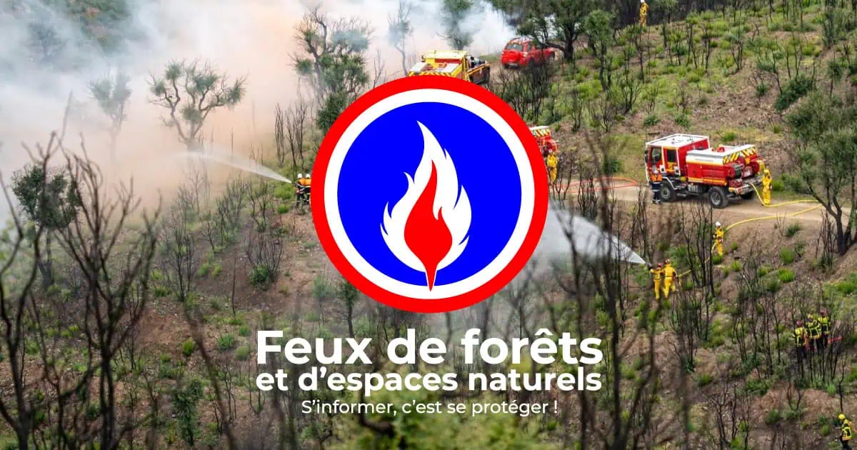 Carte Des Feux En Cours Feux De For t Carte Des Feux En Cours Feux De For t