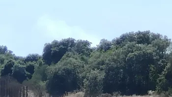 Incendie à Montbazin - Hérault - 1 juillet 2026 - Feux de forêts et d'espaces naturels