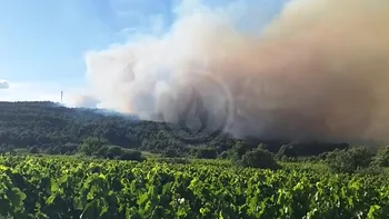 Incendie à Oupia - Hérault - 1 juillet 2026 - Feux de forêts et d'espaces naturels
