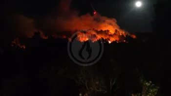 Incendie à Oupia - Hérault - 1 juillet 2026 - Feux de forêts et d'espaces naturels