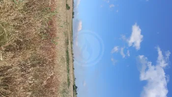 Incendie à Oupia - Hérault - 1 juillet 2026 - Feux de forêts et d'espaces naturels