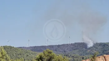 Incendie à Oupia - Hérault - 1 juillet 2026 - Feux de forêts et d'espaces naturels
