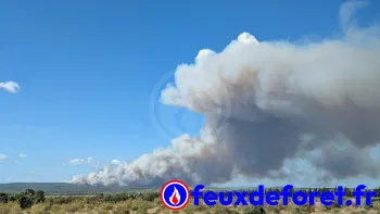 Incendie à Oupia - Hérault - 1 juillet 2026 - Feux de forêts et d'espaces naturels