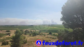 Incendie à Oupia - Hérault - 1 juillet 2026 - Feux de forêts et d'espaces naturels