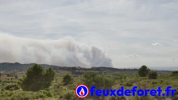 Incendie à Oupia - Hérault - 1 juillet 2026 - Feux de forêts et d'espaces naturels