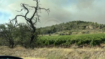 Incendie à Oupia - Hérault - 1 juillet 2026 - Feux de forêts et d'espaces naturels