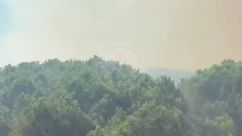 Incendie à Fréjus - Var - 1 juillet 2026 - Feux de forêts et d'espaces naturels