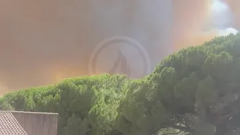 Incendie à Fréjus - Var - 1 juillet 2026 - Feux de forêts et d'espaces naturels