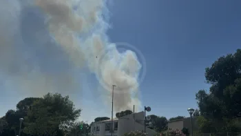 Incendie à Fréjus - Var - 1 juillet 2026 - Feux de forêts et d'espaces naturels
