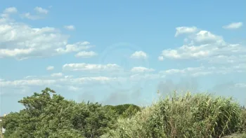 Incendie à Villeneuve-lès-Maguelone - Hérault - 1 juillet 2026 - Feux de forêts et d'espaces naturels