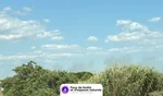 Incendie à Villeneuve-lès-Maguelone (34) : le feu est éteint