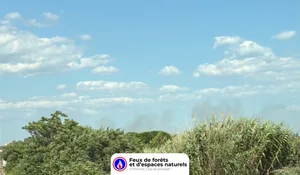 Incendie à Villeneuve-lès-Maguelone (34) : les pompiers interviennent
