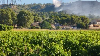 Incendie à Lançon-Provence - Bouches-du-Rhône - 1 juillet 2026 - Feux de forêts et d'espaces naturels