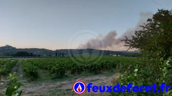 Incendie à Lançon-Provence - Bouches-du-Rhône - 1 juillet 2026 - Feux de forêts et d'espaces naturels