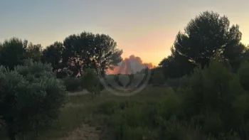 Incendie à Lançon-Provence - Bouches-du-Rhône - 1 juillet 2026 - Feux de forêts et d'espaces naturels