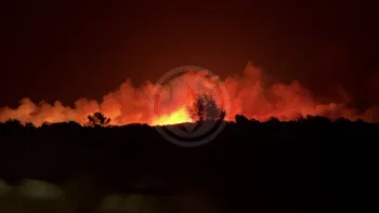 Incendie à Lançon-Provence - Bouches-du-Rhône - 1 juillet 2026 - Feux de forêts et d'espaces naturels