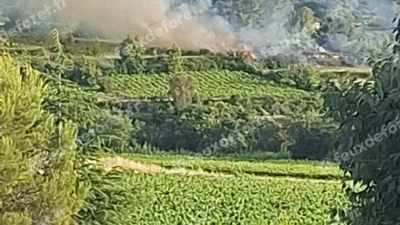Incendie à Saint-Pargoire - Hérault - 3 juin 2026 - Feux de forêts et d'espaces naturels