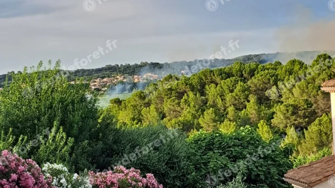 Incendie à Saint-Pargoire - Hérault - 3 juin 2026 - Feux de forêts et d'espaces naturels