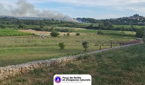 Incendie à Saint-Pargoire (34) : le feu est éteint