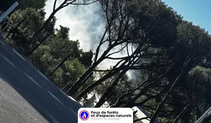 Incendie à Gassin (83) : le feu est éteint