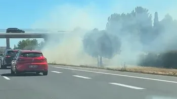 Incendie à Perpignan - Pyrénées-Orientales - 2 juillet 2026 - Feux de forêts et d'espaces naturels