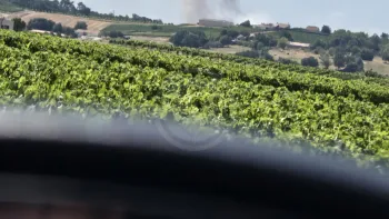 Incendie à Mirambeau - Charente-Maritime - 2 juillet 2026 - Feux de forêts et d'espaces naturels