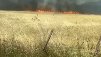 Incendie à Saint-Mariens - Gironde - 2 juillet 2026 - Feux de forêts et d'espaces naturels