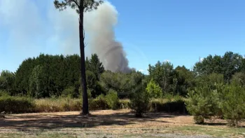Incendie à Saint-Mariens - Gironde - 2 juillet 2026 - Feux de forêts et d'espaces naturels