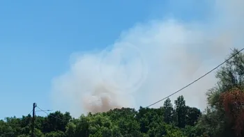 Incendie à Saint-Mariens - Gironde - 2 juillet 2026 - Feux de forêts et d'espaces naturels
