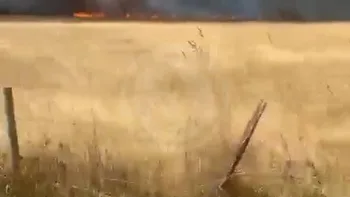Incendie à Saint-Mariens - Gironde - 2 juillet 2026 - Feux de forêts et d'espaces naturels