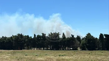 Incendie à Canet-en-Roussillon - Pyrénées-Orientales - 2 juillet 2026 - Feux de forêts et d'espaces naturels