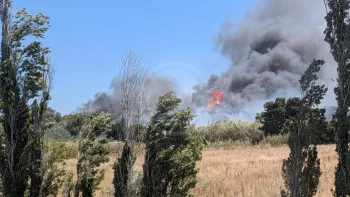 Incendie à Canet-en-Roussillon - Pyrénées-Orientales - 2 juillet 2026 - Feux de forêts et d'espaces naturels