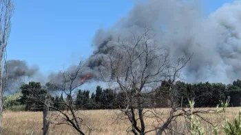 Incendie à Canet-en-Roussillon - Pyrénées-Orientales - 2 juillet 2026 - Feux de forêts et d'espaces naturels