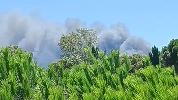 Incendie à Canet-en-Roussillon - Pyrénées-Orientales - 2 juillet 2026 - Feux de forêts et d'espaces naturels