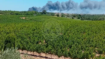 Incendie à Canet-en-Roussillon - Pyrénées-Orientales - 2 juillet 2026 - Feux de forêts et d'espaces naturels