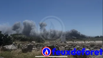 Incendie à Canet-en-Roussillon - Pyrénées-Orientales - 2 juillet 2026 - Feux de forêts et d'espaces naturels