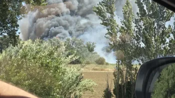 Incendie à Canet-en-Roussillon - Pyrénées-Orientales - 2 juillet 2026 - Feux de forêts et d'espaces naturels