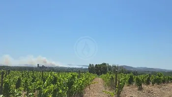 Incendie à Roquemaure - Gard - 2 juillet 2026 - Feux de forêts et d'espaces naturels