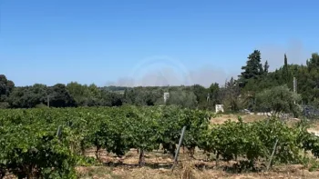 Incendie à Roquemaure - Gard - 2 juillet 2026 - Feux de forêts et d'espaces naturels