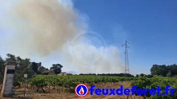 Incendie à Roquemaure - Gard - 2 juillet 2026 - Feux de forêts et d'espaces naturels