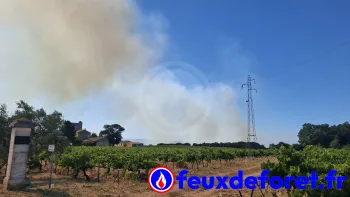 Incendie à Roquemaure - Gard - 2 juillet 2026 - Feux de forêts et d'espaces naturels