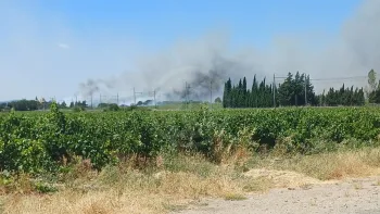 Incendie à Narbonne - Aude - 2 juillet 2026 - Feux de forêts et d'espaces naturels