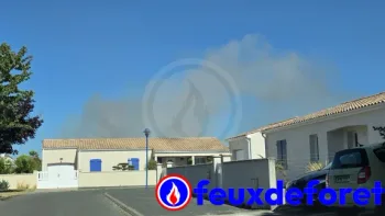 Incendie à Narbonne - Aude - 2 juillet 2026 - Feux de forêts et d'espaces naturels