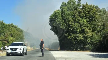 Incendie à Narbonne - Aude - 2 juillet 2026 - Feux de forêts et d'espaces naturels