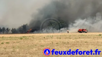 Incendie à Narbonne - Aude - 2 juillet 2026 - Feux de forêts et d'espaces naturels