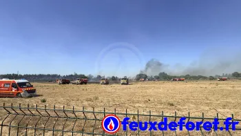 Incendie à Narbonne - Aude - 2 juillet 2026 - Feux de forêts et d'espaces naturels