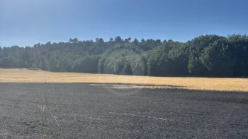 Incendie à Meyreuil - Bouches-du-Rhône - 2 juillet 2026 - Feux de forêts et d'espaces naturels