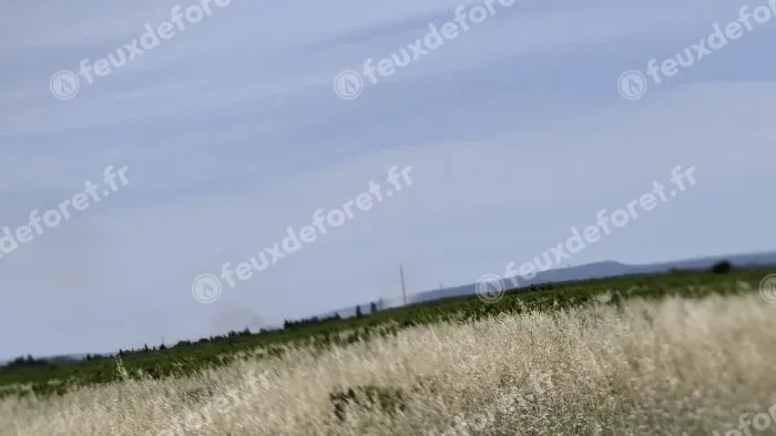 Incendie à Sallèles-d'Aude - Aude - 6 juin 2026 - Feux de forêts et d'espaces naturels