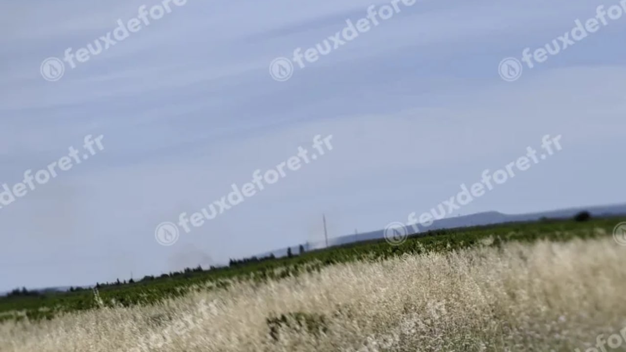 Incendie à Sallèles-d'Aude - Aude - 6 juin 2026 - Feux de forêts et d'espaces naturels