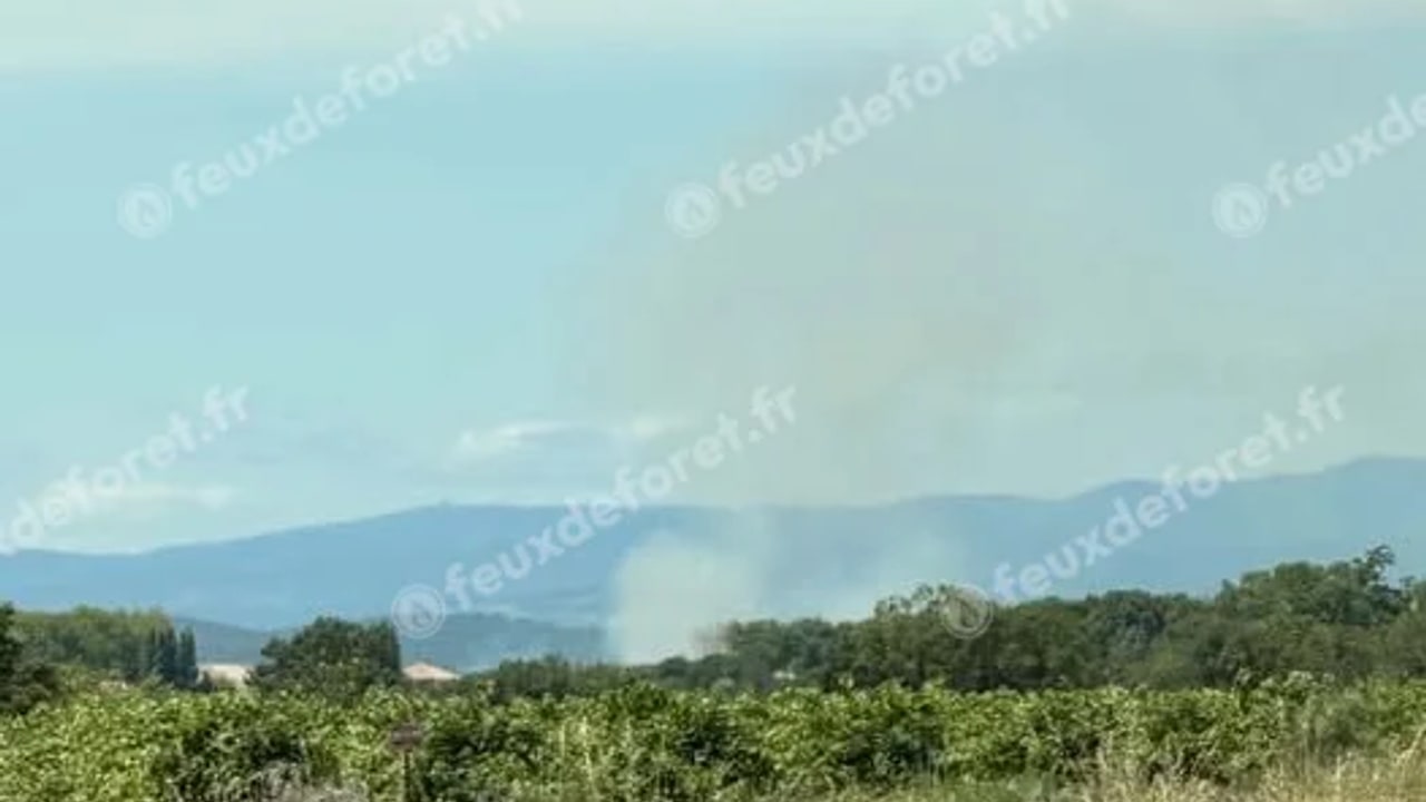 Incendie à Sallèles-d'Aude - Aude - 6 juin 2026 - Feux de forêts et d'espaces naturels